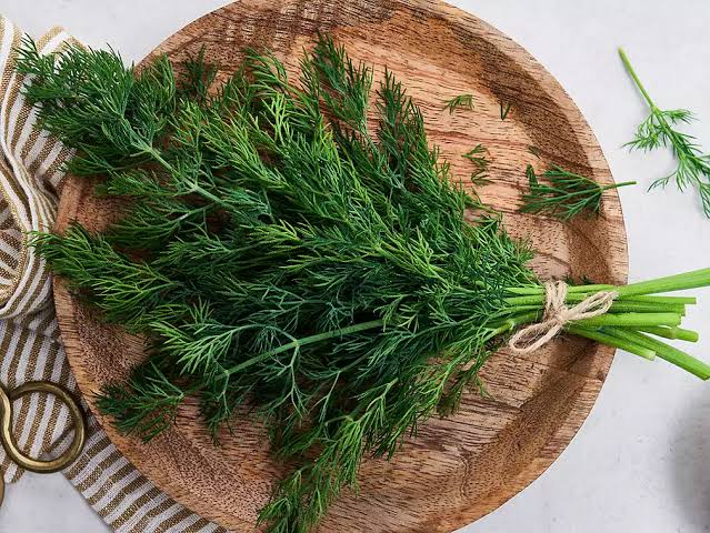 بهترین شرایط خرید شوید خشک با سود زیاد